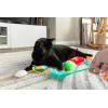 imageItaly Bulk Cat Toys Catnip and Interactive Toys 14pcsNoods