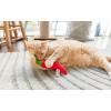 imageItaly Bulk Cat Toys Catnip and Interactive Toys 14pcsTaqueria