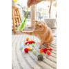 imageItaly Bulk Cat Toys Catnip and Interactive Toys 14pcsTaqueria