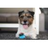 imagePet Qwerks Blinky Babble Ball  Flashing Interactive Chew Dog Toy  MediumTalking Babble