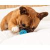 imagePet Qwerks Blinky Babble Ball  Flashing Interactive Chew Dog Toy  MediumTalking Babble