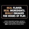 imagePet Qwerks Dinosaur BarkBone  Wood Dog Bone for Moderate Chewers  Peanut Butter Flavor  11quot